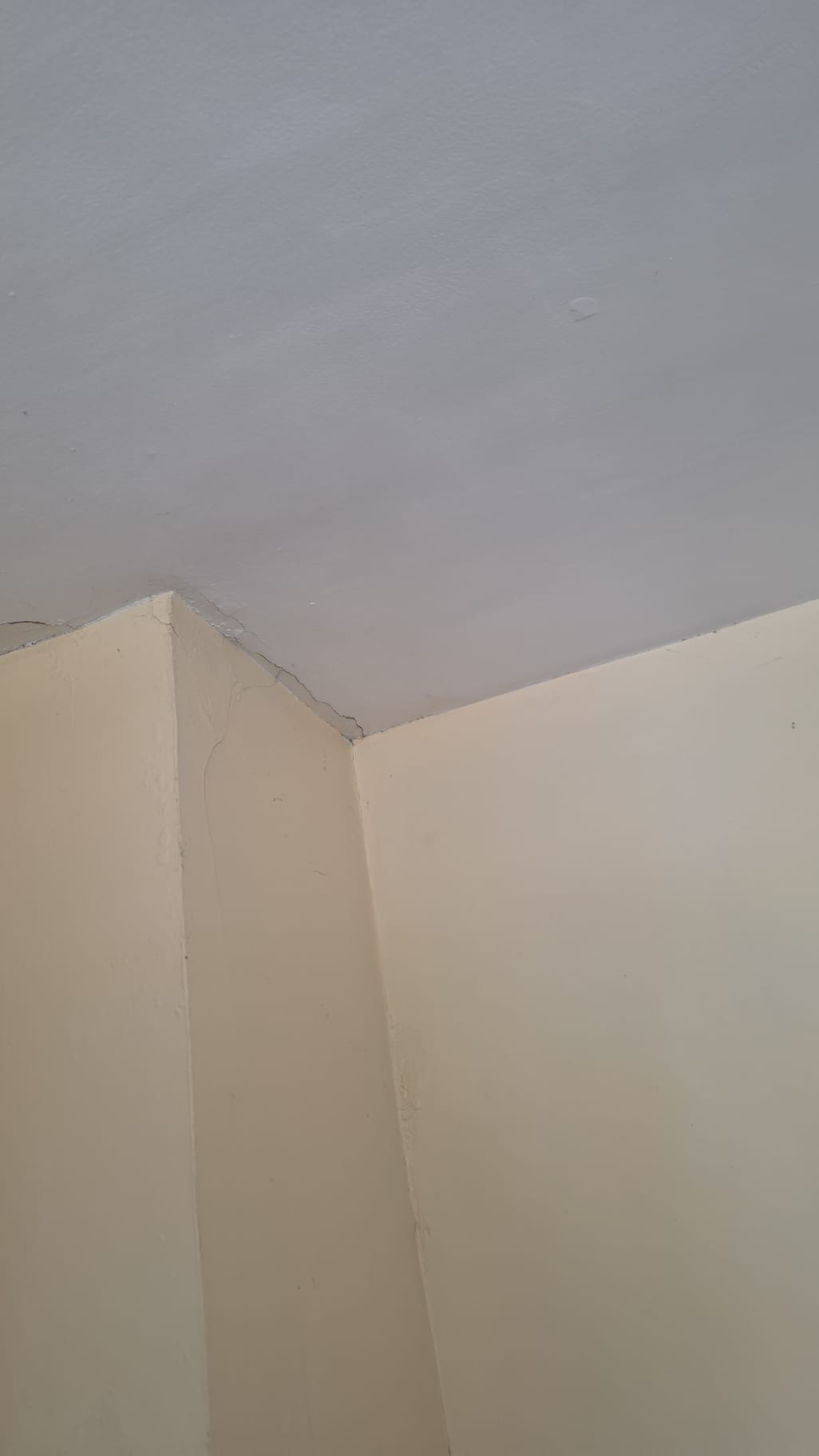 Leak tracked back from the ceiling — roofing work in Dublin